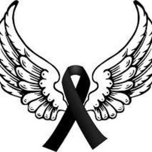 Meet your Posher, Ray